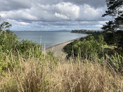 a beach in New Zealand